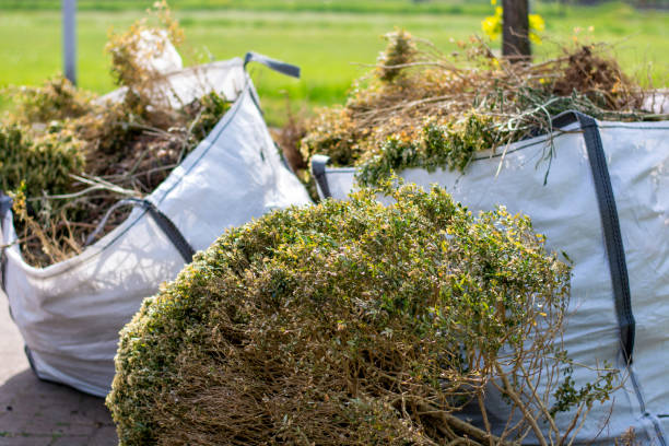 Demolition Debris Removal in Jefferson, LA